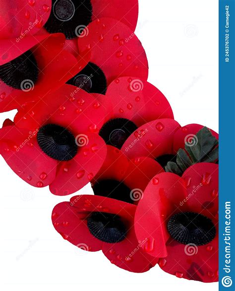 Remembrance Day Poppy Wreath Stock Photo Image Of Conceptual Poppies