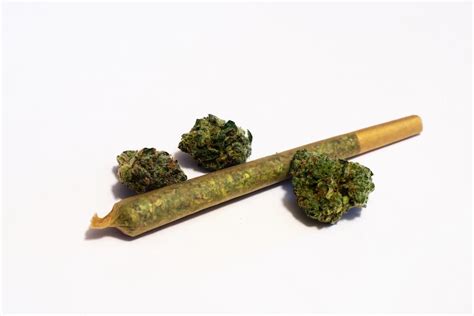 what is a pre roll and what are their benefits fluent cannabis
