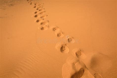 Sand Texture Sahara Desert Morocco Stock Photo Image Of Texture