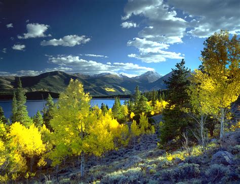 Best Places To See Fall Colors In Colorado Springs And Beyond