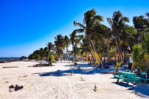 Everything You Need To Know About Caye Caulker Explore Shaw