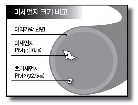 국토교통부 '미세먼지 저감 실증연구단' 240억 규모 사업선정. 미세먼지