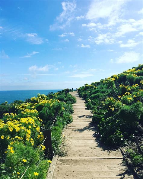 The Essential Hiking Trails In Los Angeles Los Angeles Magazine Hiking Trails Farmland