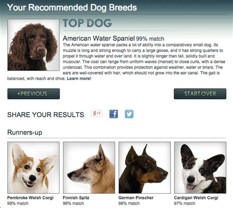 8 Dog Breed Selector Tools For Find Your Perfect Dog