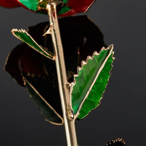 Burgundy Bliss - Eternal Rose PERMANENT STORE - Touch of Modern