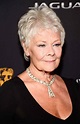 15 Doubts About Judi Dench Hairstyle You Should Clarify | judi dench ...