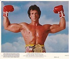 sylvester, Stallone, Rocky, Movies, 238, 2 Wallpapers HD / Desktop and ...