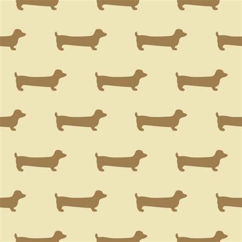 Wiener Dogs Backgrounds Illustrations Royalty Free Vector Graphics