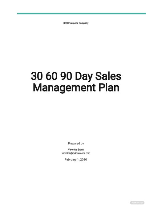Sales Business Plan Business Planning Action Plan Template Business