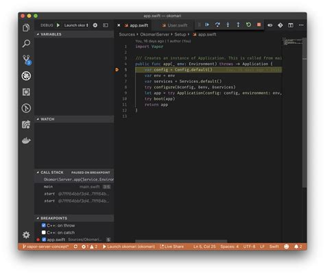 Is bic the same as swift? Swift, VS Code and you | Valentin Knabel