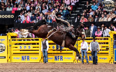 Wild Rides And High Fives Saddle Bronc Riders Unleash At Nfr 2023 Amazing Madison