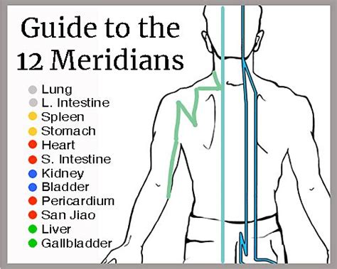 Printable 12 Meridians Chart