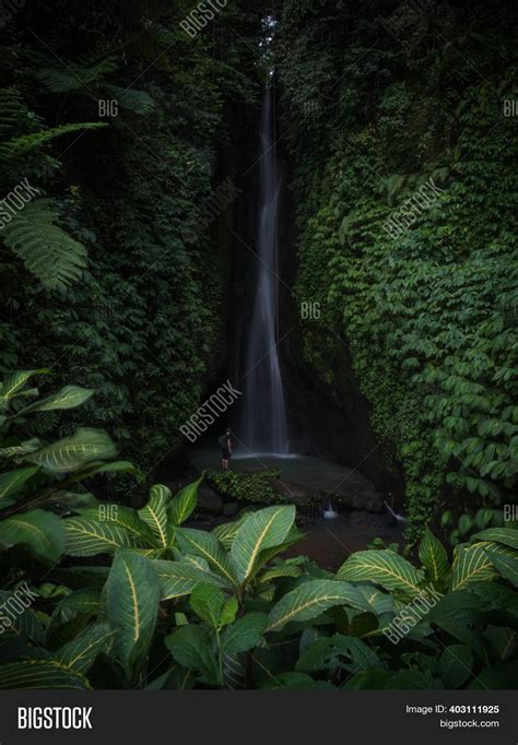 Tropical Rainforest Image And Photo Free Trial Bigstock