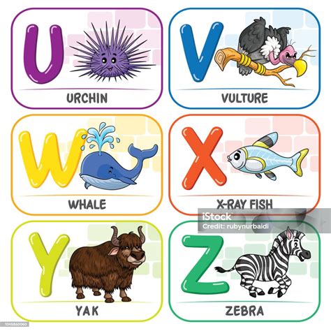 Animal Alphabet U V W X Y Z Stock Illustration Download Image Now