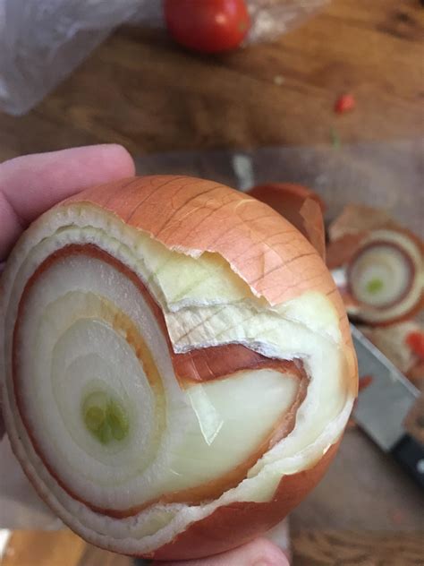 My onion has two layers skin. : mildlyinteresting