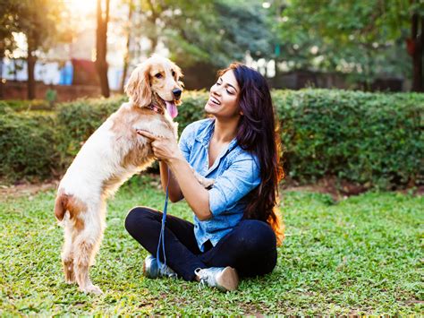 People Who Talk To Their Pet Dogs Are Smarter Than Others The Times