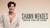 SHAWN MENDES - WHEN YOU'RE GONE - LYRICS - YouTube