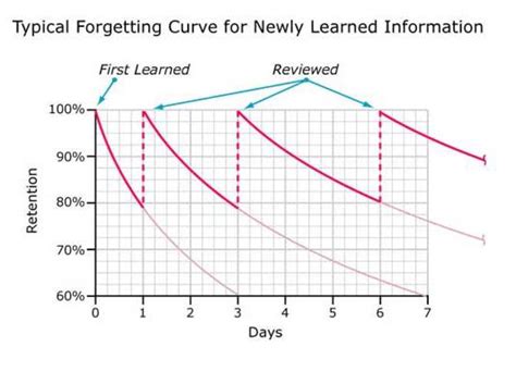 Typical Learning Curve For Newly Learned Information Mind Bursts