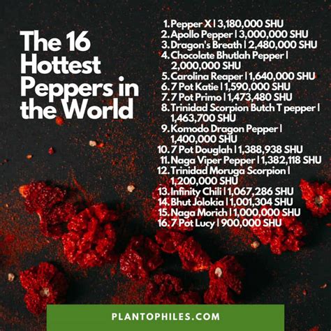 top 16 hottest peppers in the world [updated 2023]