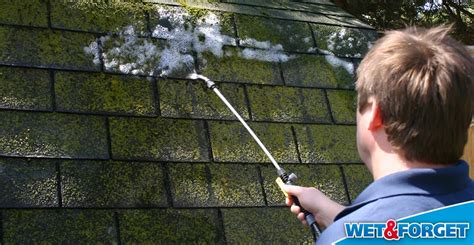 Ask Wet And Forget Stop Moss In Its Tracks And Save Your Roof With Wet