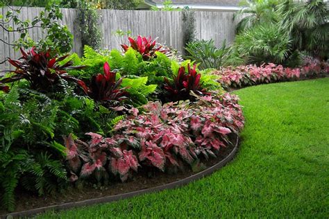 1000 Images About Zone 10 Plants On Pinterest Gardens Sun And