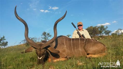 South Africa Hunt Kudu