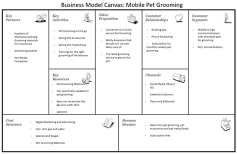 Solved Build The Business Model Canvas For Staring New Mobile Pet