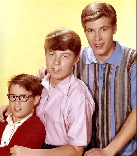 My Three Sons Don Grady Favorite Tv Shows Favorite Movies 1960s Tv