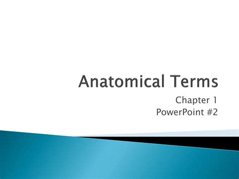 Ppt Anatomical Terms Powerpoint Presentation Free Download Id1060244