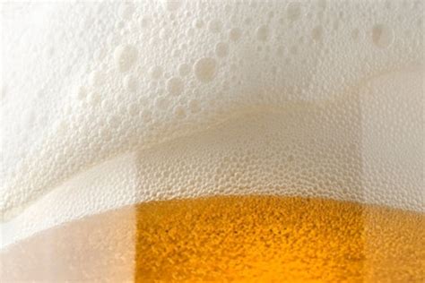 How Powdered Beer Could Make Raising A Glass Greener News18