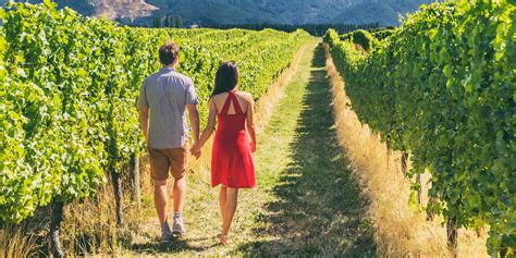 6 Vineyards Near Charlotte For A One Day Vacay Charlotte Parent
