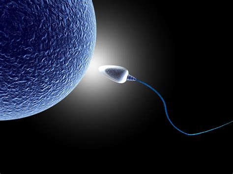 Sperm Abstraction Abstract Bokeh Life Sex Sexual Medical Dna Male Man Men 1sperm