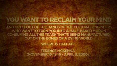 Discover famous quotes and sayings. Conditioned Human Apathy? Why do people no longer get pissed off? (Terence Mckenna), page 1