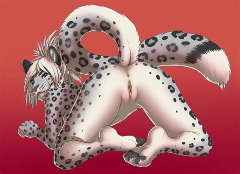 Rule 34 2012 All Fours Anthro Anus Clitoris Feline Female Fur Furry Leopard Looking At Viewer