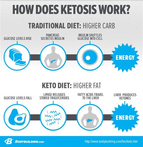 The Ketogenic Diet Naturopath Solutions