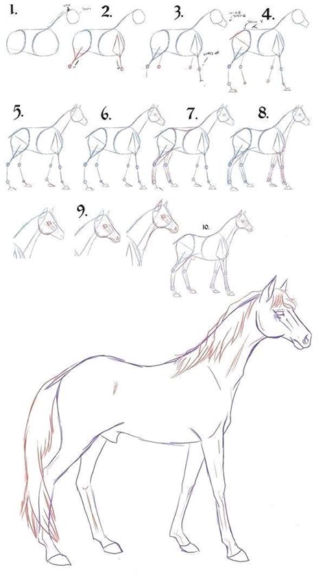 Draw A Horse Step By Step 9 Art Draw To Practice Horse Drawing