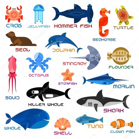 Oceanario Animales Marinos Y Peces Con Nombres Vector Gráfico