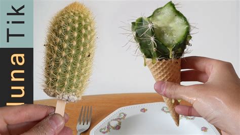 Desert Survival Ice Cream Made From Cactus Vegan Plant Based