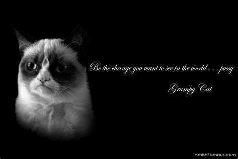 37 Grumpy Cat Meme Wallpaper Wallpapersafari