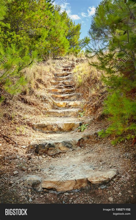 Old Stairs Forest Image And Photo Free Trial Bigstock