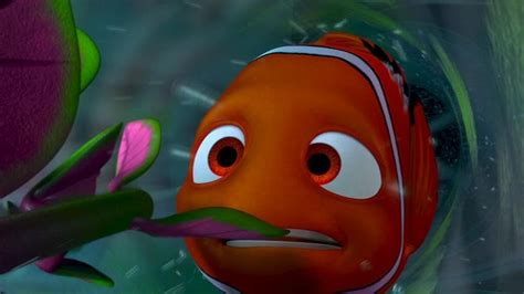 Finding Nemo Finding Nemo Image 3567291 Fanpop