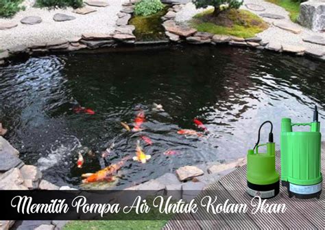 Nah, dalam menjernihkan air kolam ikan yang keruh ini, perlu diperhatikan pula takarannya. Memilih Pompa Air Untuk Kolam Ikan | Distributor Pompa ...