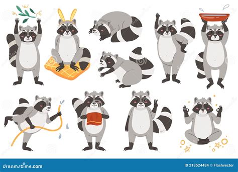 Kawaii Raccoons Set Vector Illustration 105266722