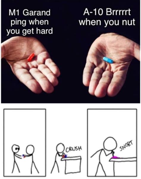 Why Not Both Snorting The Blue Pill And Red Pill Know Your Meme