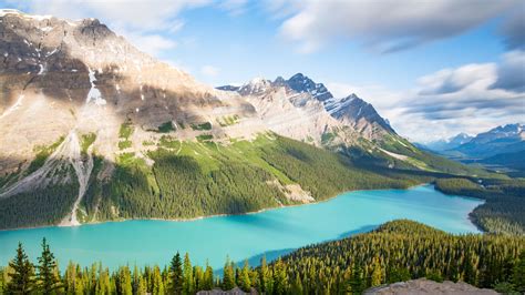 Download Wallpaper 2560x1440 Lake Mountains Trees Spruce Landscape Widescreen 169 Hd Background