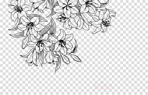 Flower Line Art Clipart Flower Black Plant Transparent Clip Art