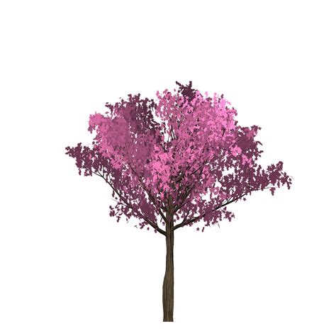Cherry Pink Tree Painted Tree Free Image Download