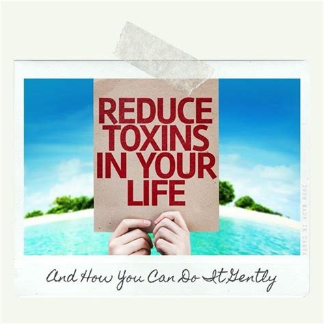Weve All Wanted To Detoxify Our Body At One Time Or Another The Trick