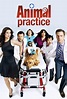 Animal Practice. Serie TV - FormulaTV