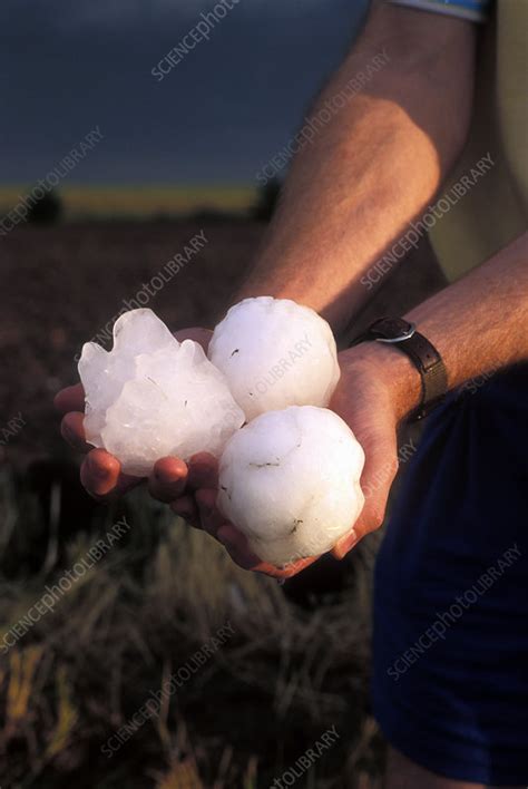 Giant Hailstones Stock Image E1260008 Science Photo Library